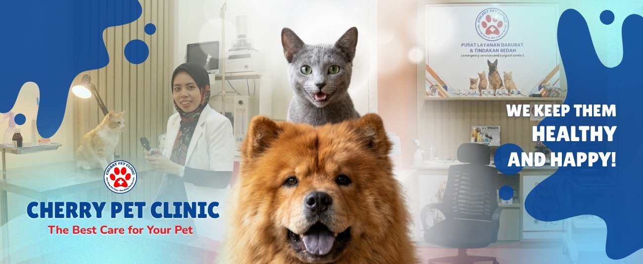 Cilacap, Your Pet's Best Friend at Cherry Pet Shop Rawa Bendungan